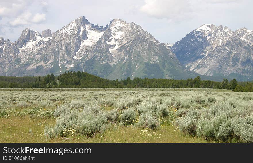 A panaromic view of the Grand Teton Mountains in Grand Teton National Park.