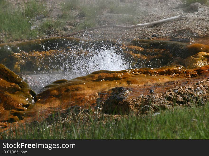 The hot springs in Yellowstone National Park.