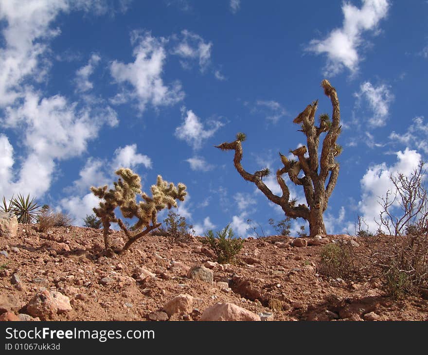 Red Rock Canyon