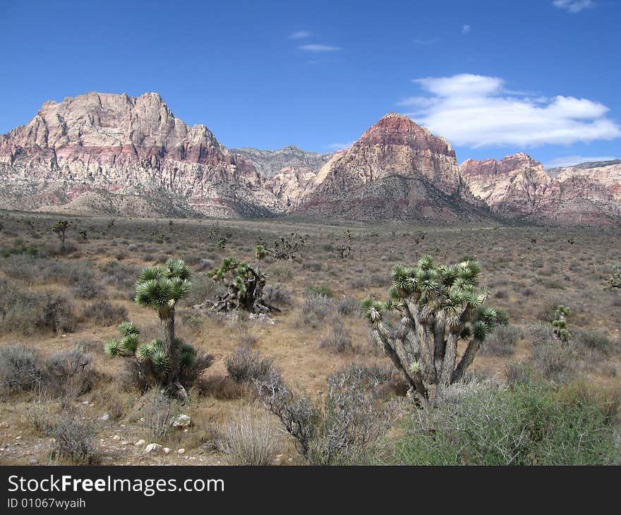 Red Rock Canyon