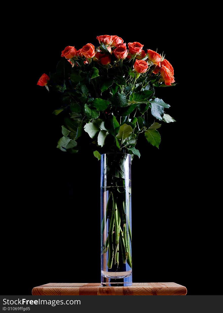 Beautiful wet roses in a blue vase on black background