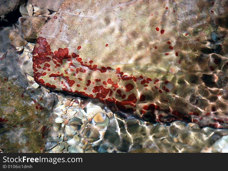 Red spotted rock under crystal clear water. Red spotted rock under crystal clear water