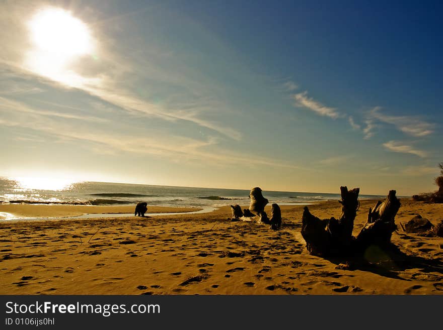 Beach in the morning light