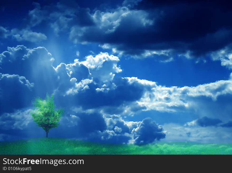 Dark blue sky and rays sun falling on green tree and plain