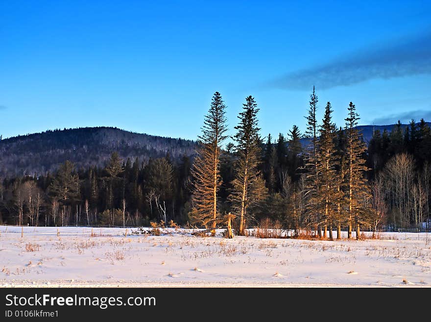 Winter at Bretton Woods, New Hampshire