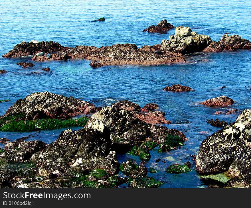 Rocks At Ocean Beach