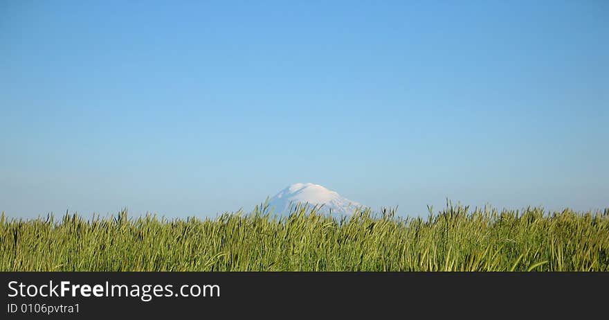 Ararat mountain , view from Armenia