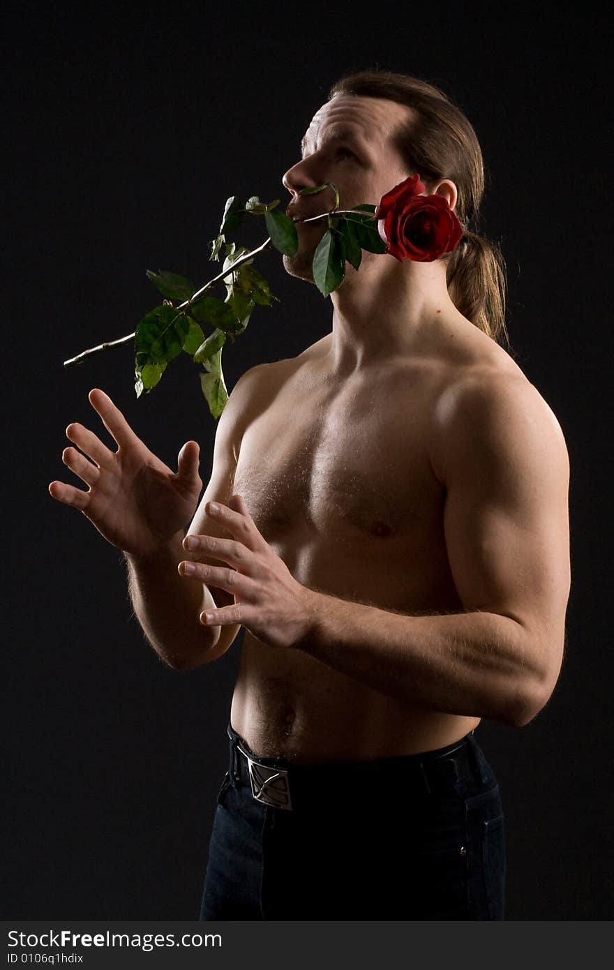 Standing romantic man with red rose. Standing romantic man with red rose