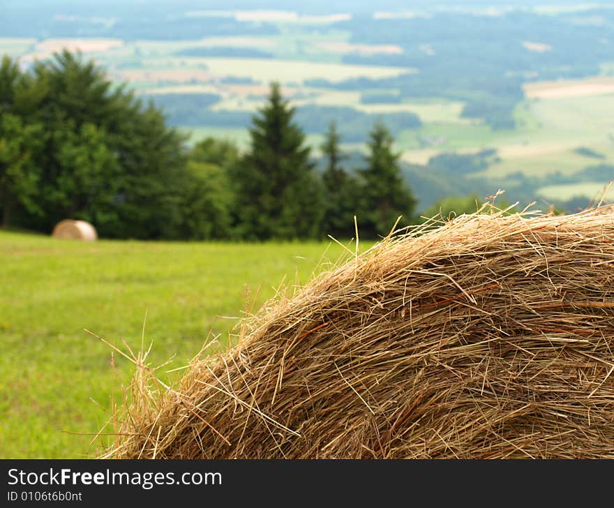 Harvested mountain field