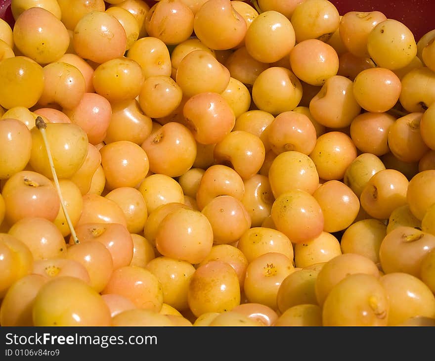 Yellow Cherries