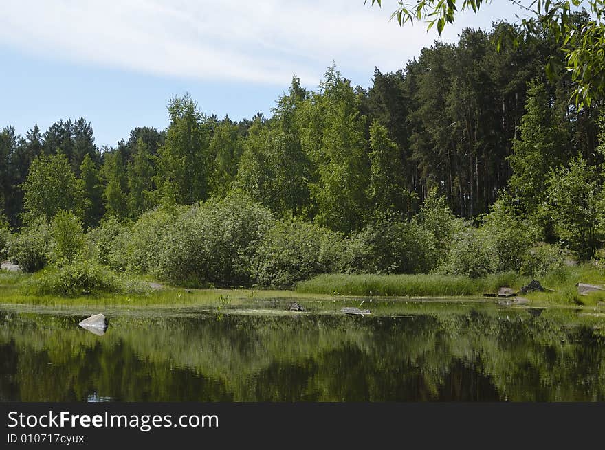 Photo of lake coast where trees are reflected in the water