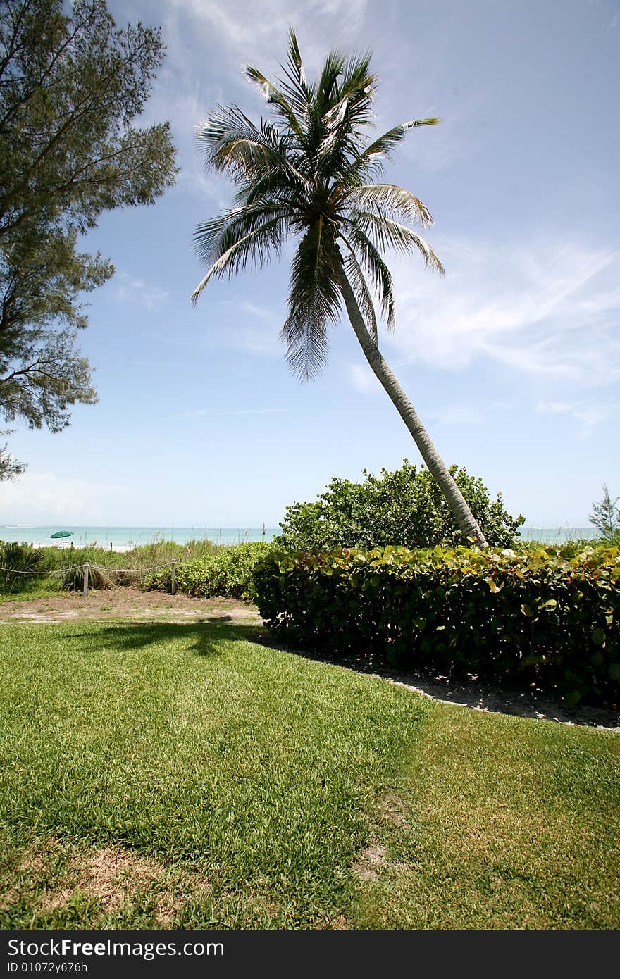 A grassy ocean view full of lush tropical plants and trees.  Taken on Sanibel / Captiva Island, Florida.