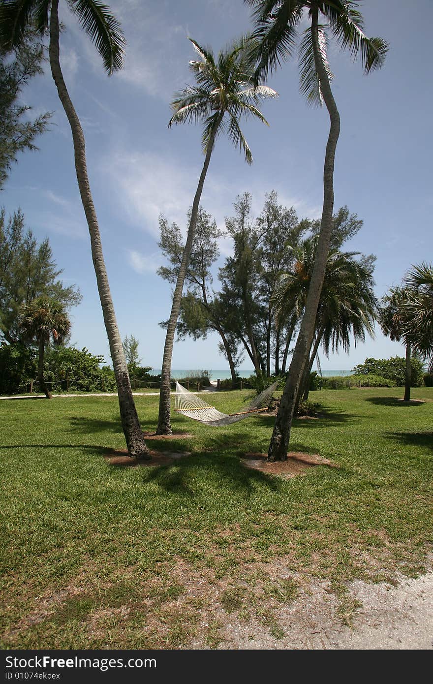 A photo taken of a hammock between two palm trees with the ocean in the background. Photo taken on Sanibel / Captiva Island. A photo taken of a hammock between two palm trees with the ocean in the background. Photo taken on Sanibel / Captiva Island.