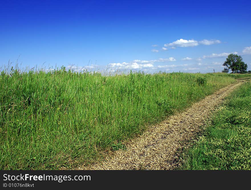 Green field and blue sky landscape with road. Green field and blue sky landscape with road