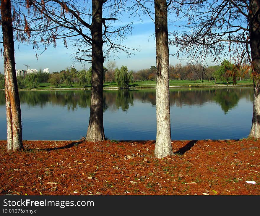 Red ground next to calm water