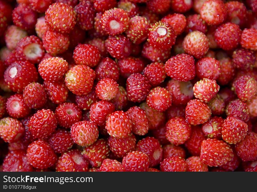 Wild srawberries