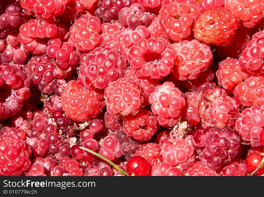 Just the collected berries of a raspberry, a currant