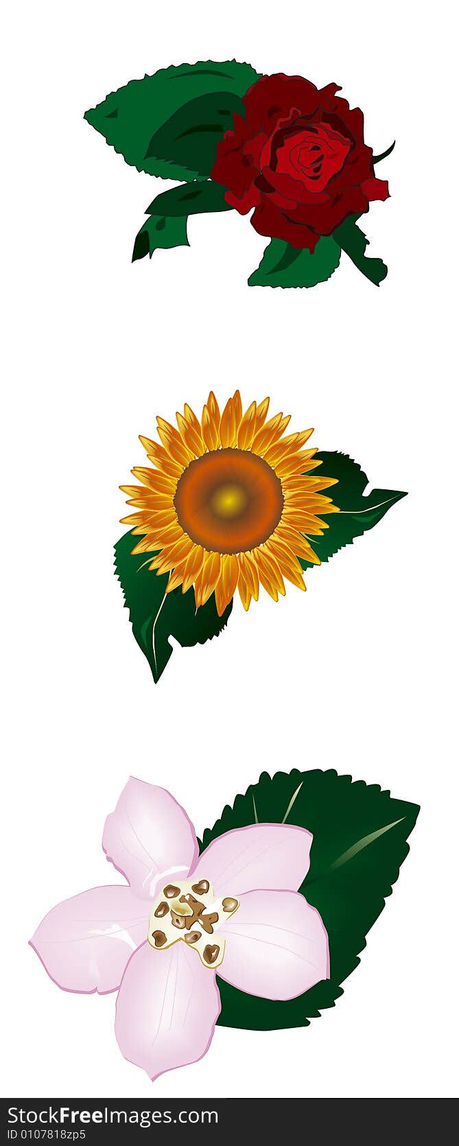 Rose, sunflower and lirium in a colorfull 3D illustration. Rose, sunflower and lirium in a colorfull 3D illustration