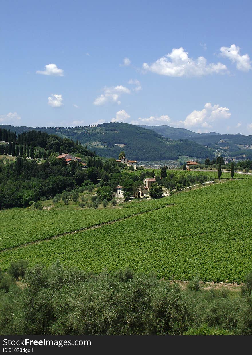 Nipozzano - Chianti Rufina