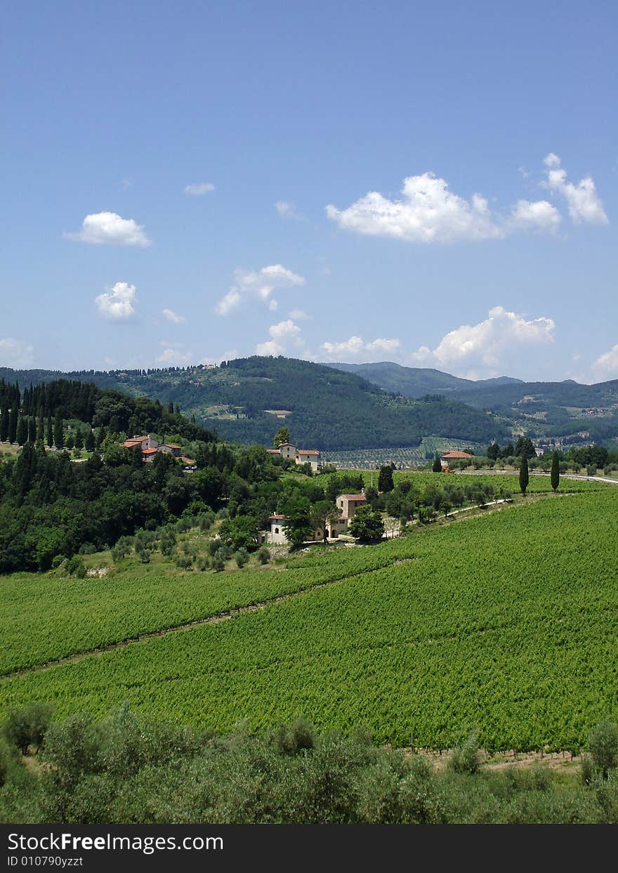 Nipozzano - Chianti Rufina