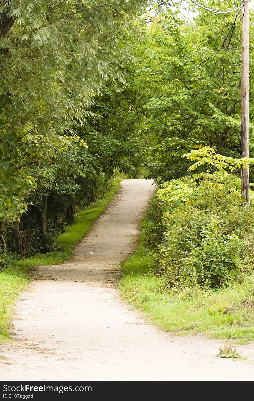 Small country road and trees from both parties of road