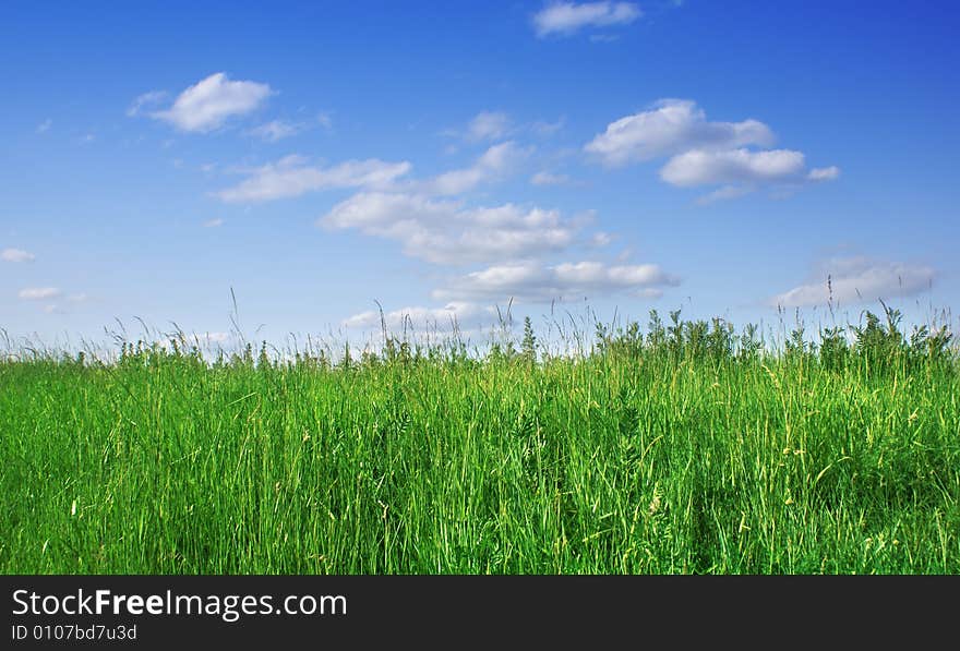 Green grass and blue sky