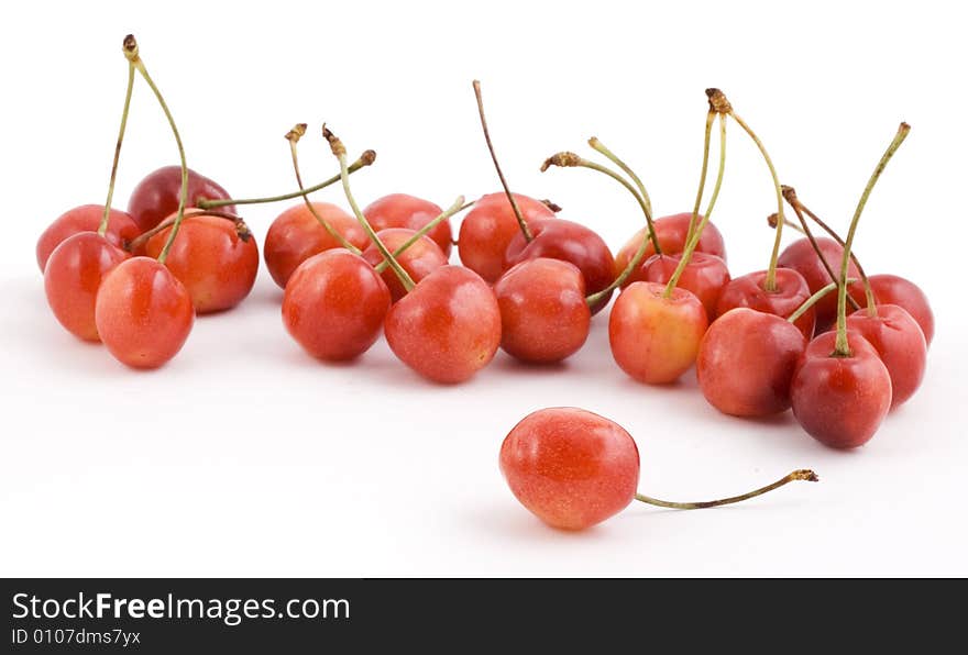 Red cherries on white background