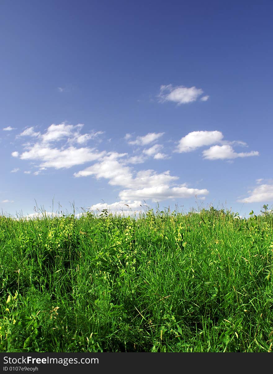 Green grass and blue sky wuth clouds