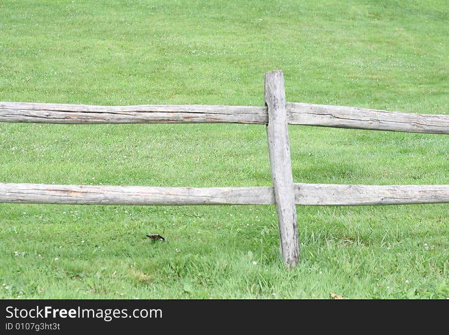 Wooden fence in green field