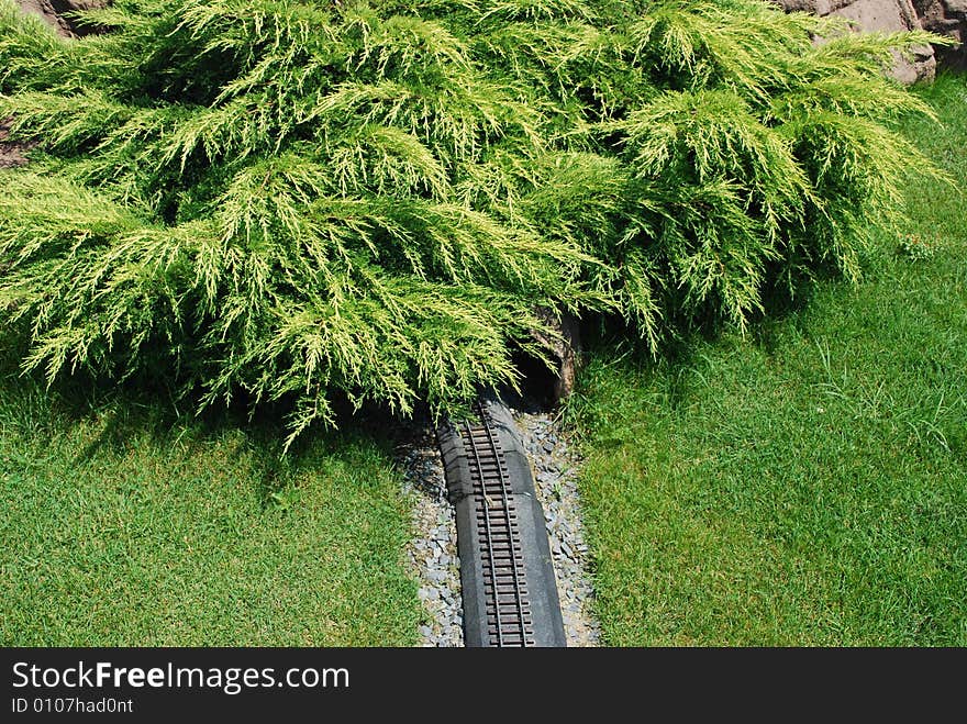 Railroad to forest