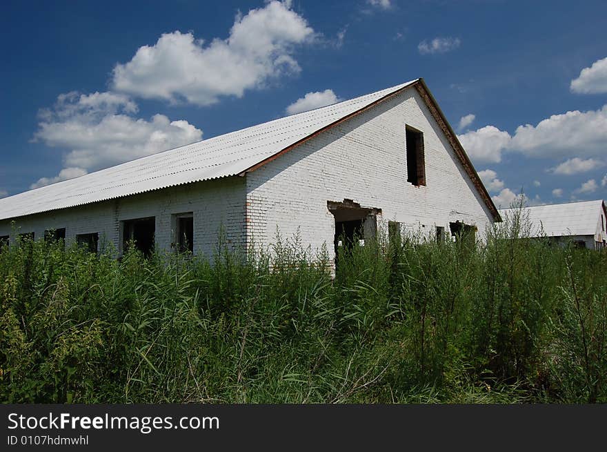 Abandoned Farm. Near Chernobyl Area.  Kiev Region