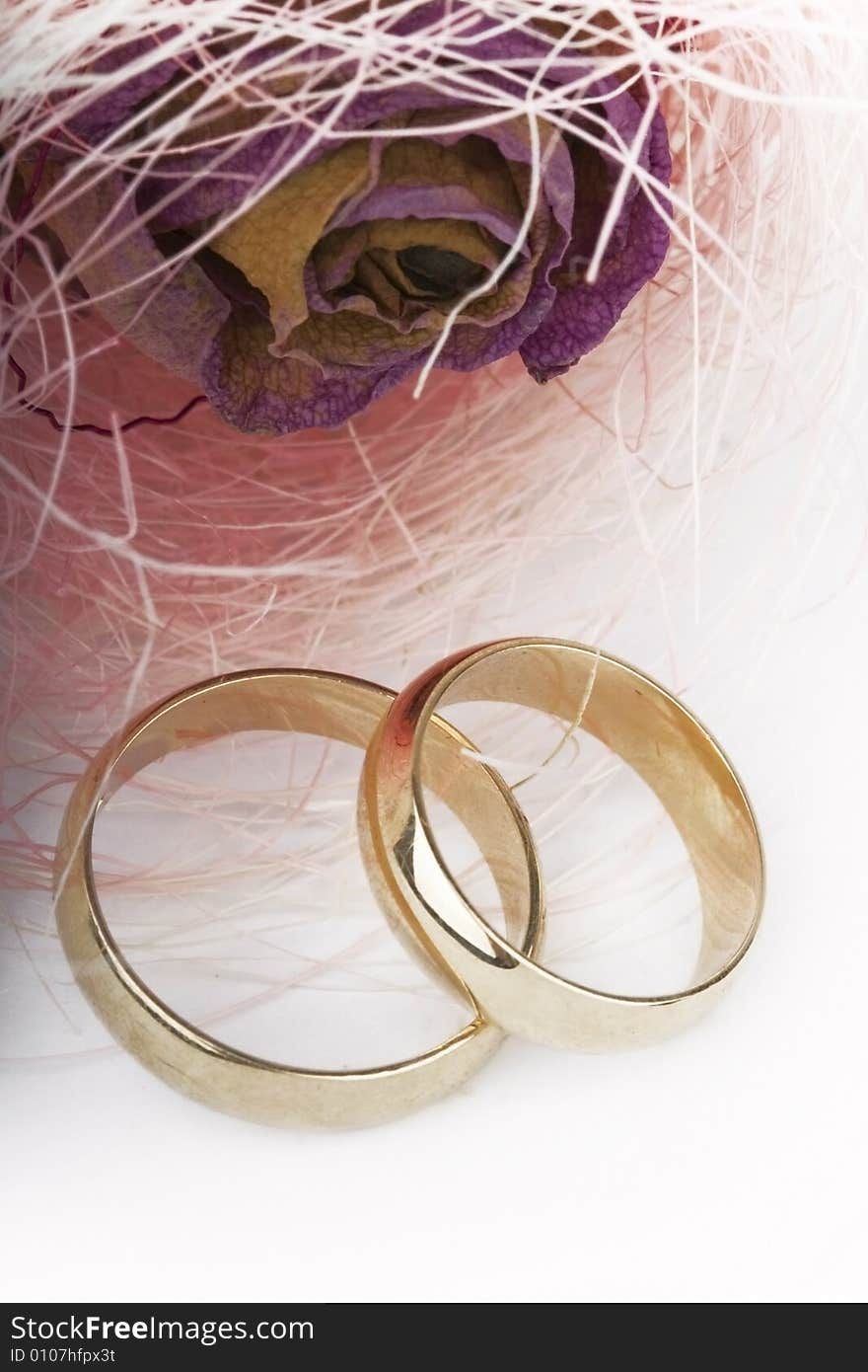 Two golden love rings and rose on white background