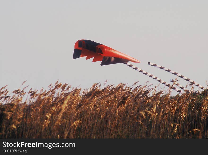 A black and red kite being flown on the beach. Sea grass in the foreground. A black and red kite being flown on the beach. Sea grass in the foreground