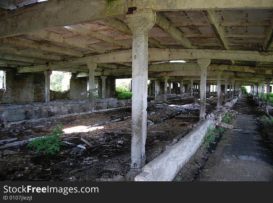 Abandoned Farm. Near Chernobyl Area.  Kiev Region