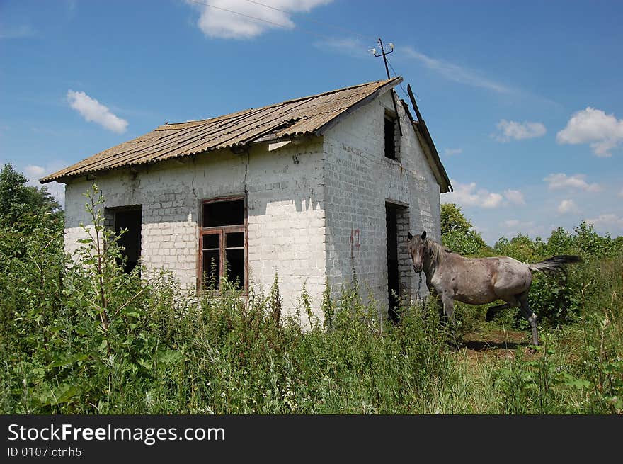 Abandoned farm. Near Chernobyl area.  Kiev region