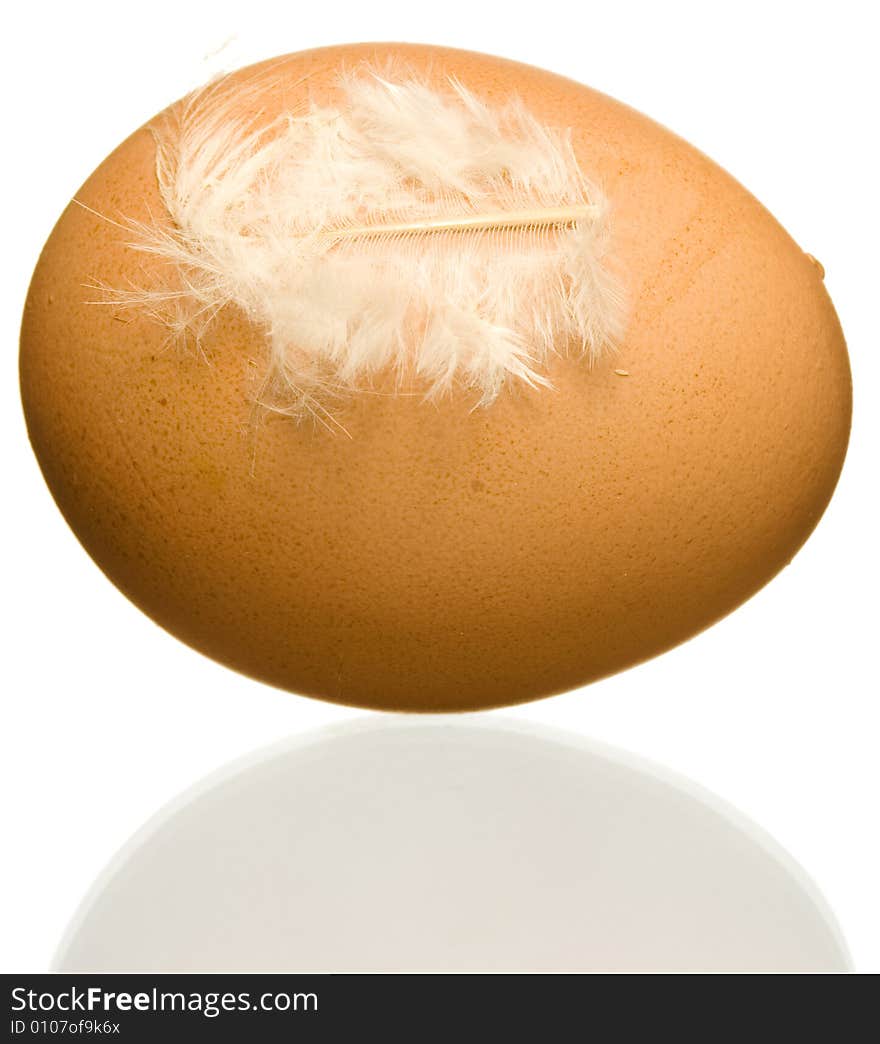 Egg with feather