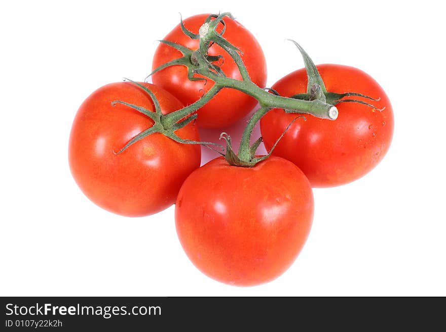 Fresh tomatoes over white background