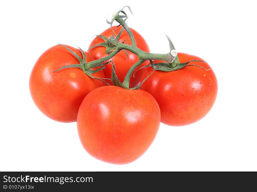 Fresh tomatoes over white background