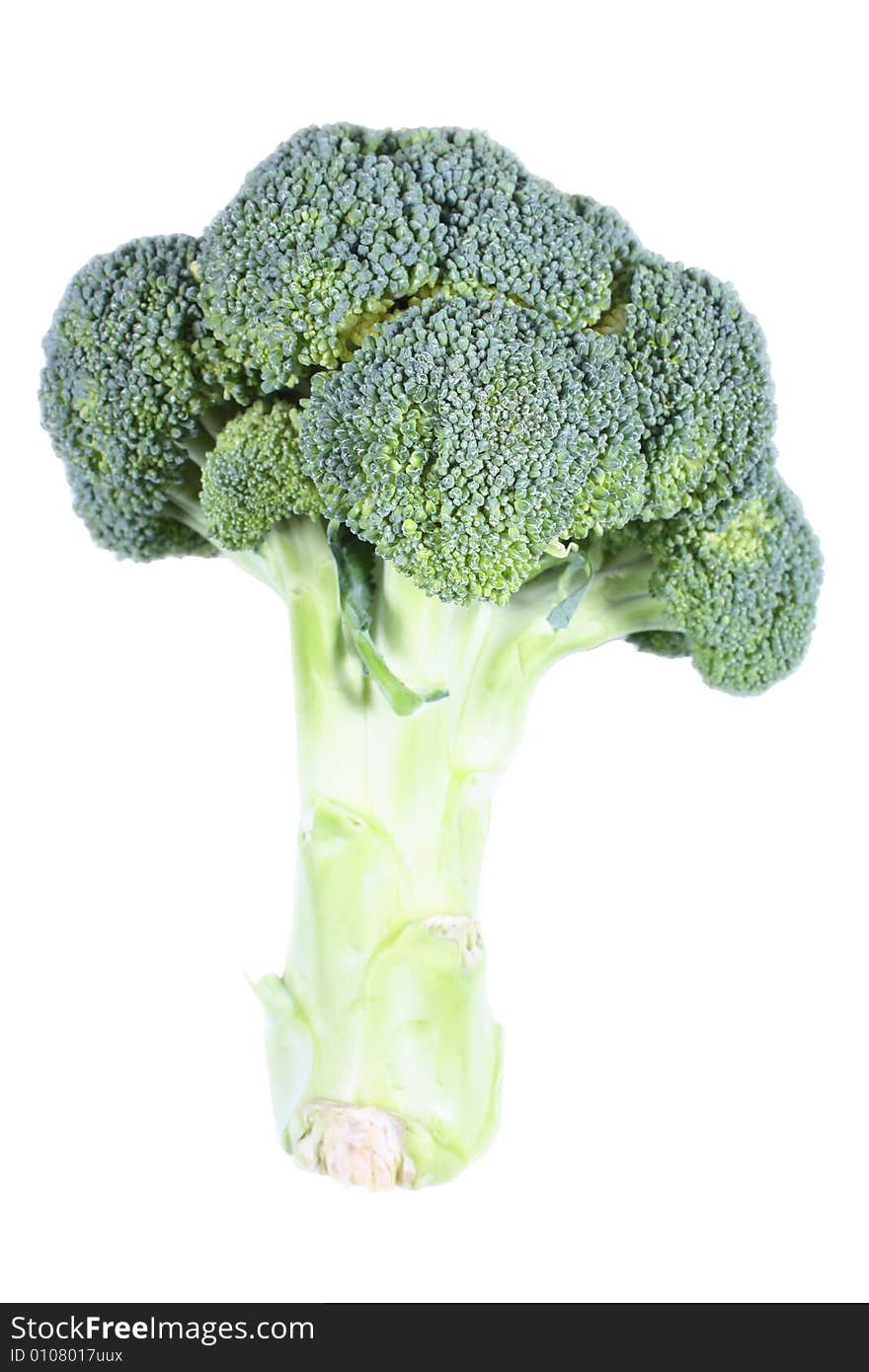 Broccoli on the white background