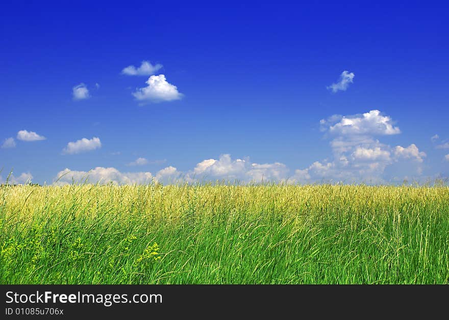 Green grass and blue sky with clouds