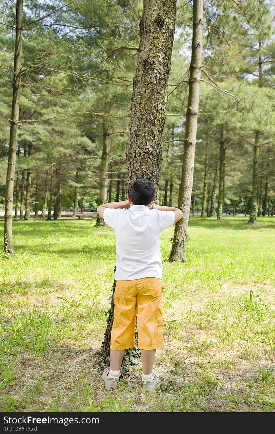 Young boy playing hide and seek, leaning against tree in park. Young boy playing hide and seek, leaning against tree in park.