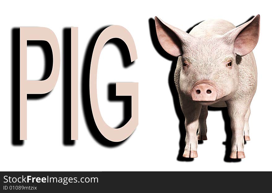 A simple image of a pink farm pig. A simple image of a pink farm pig.