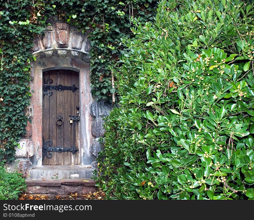 Wooden door in a stone wall is surrounded by green foliage. Wooden door in a stone wall is surrounded by green foliage