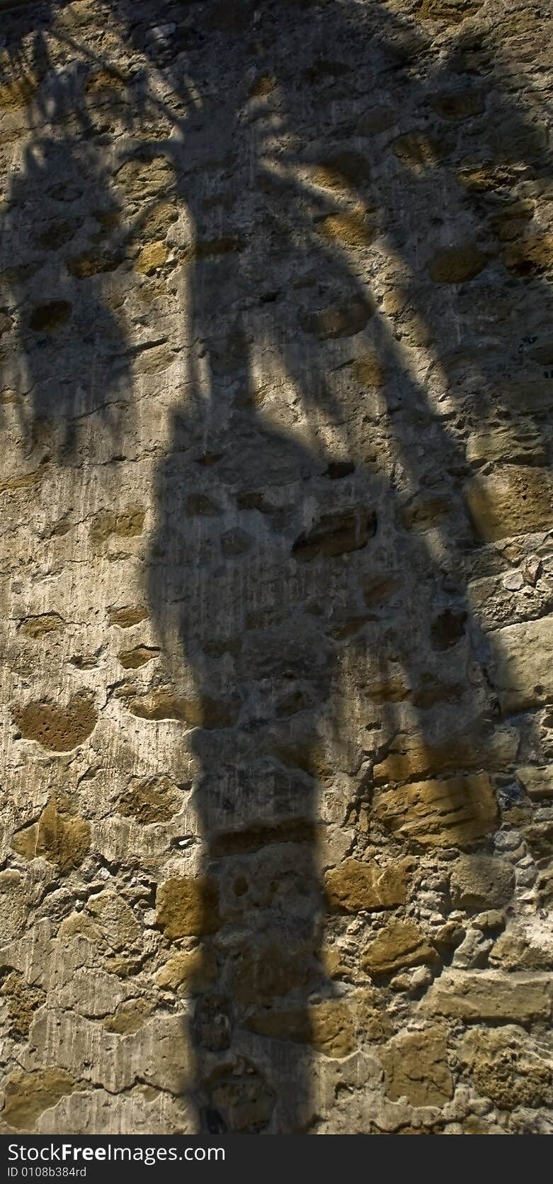 This is the shadow of a palm tree on the wall of Mission San Juan Capistrano. This is the shadow of a palm tree on the wall of Mission San Juan Capistrano