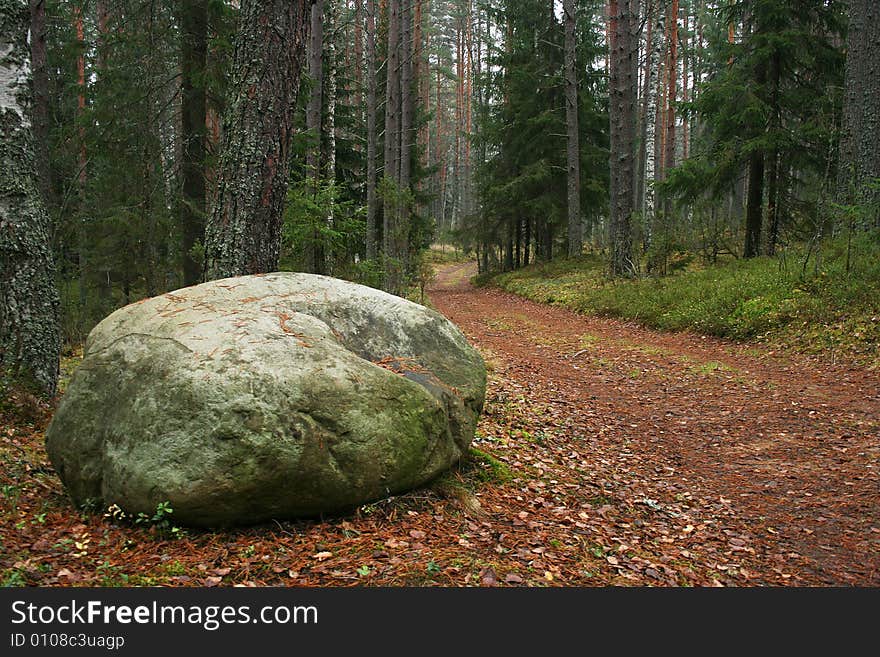 Autumn Landscape