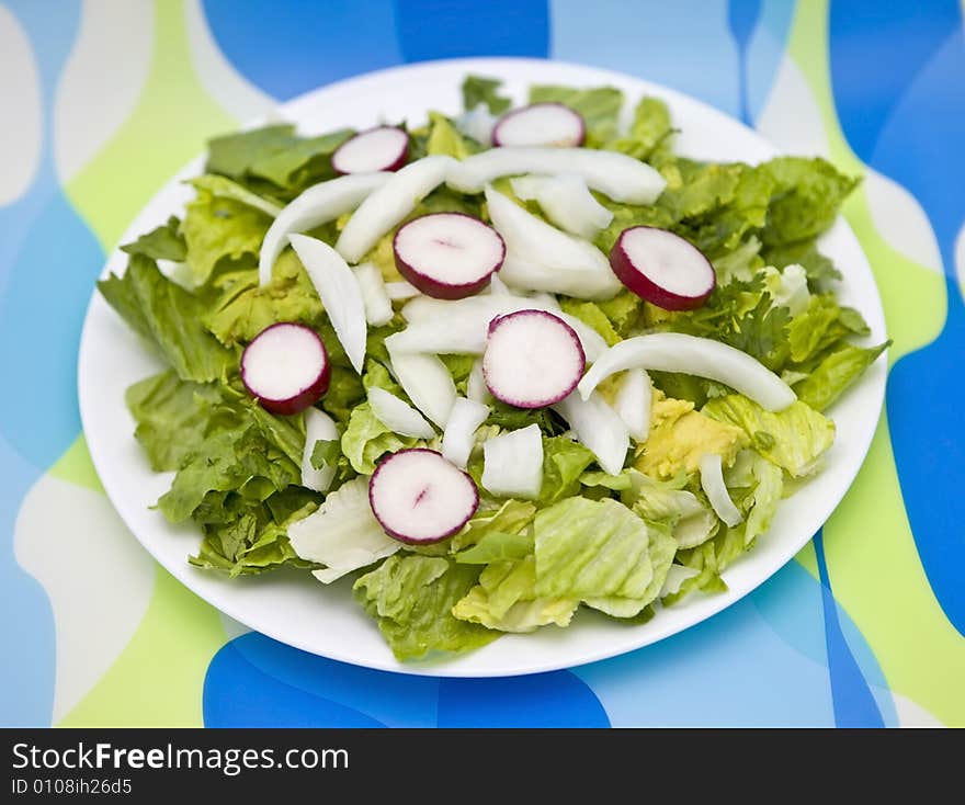 Simple salad with lettuce, radishes, onions, avocado on a contemporary retro place setting. Simple salad with lettuce, radishes, onions, avocado on a contemporary retro place setting.