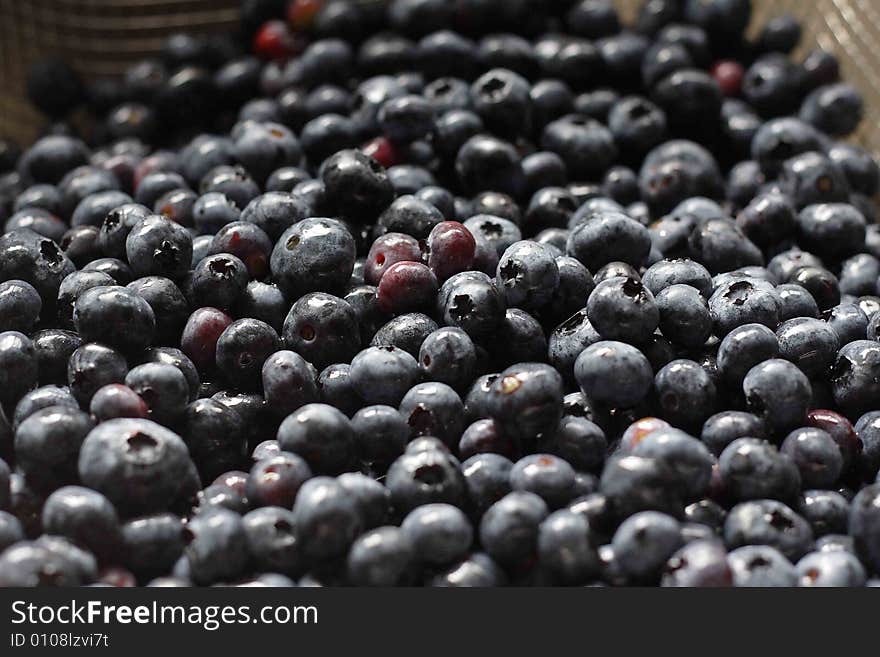 Blueberries