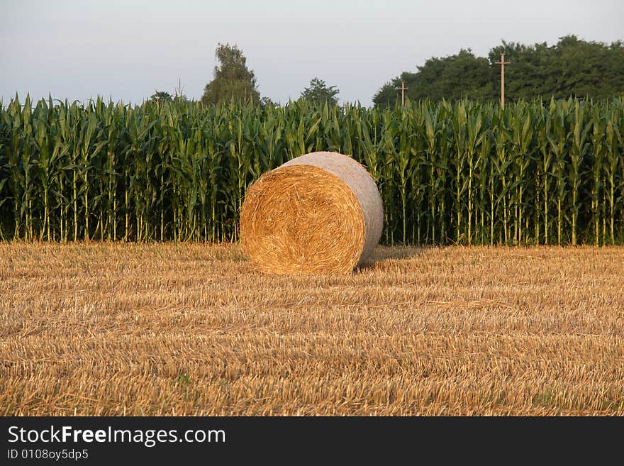 Hay Bale in a field