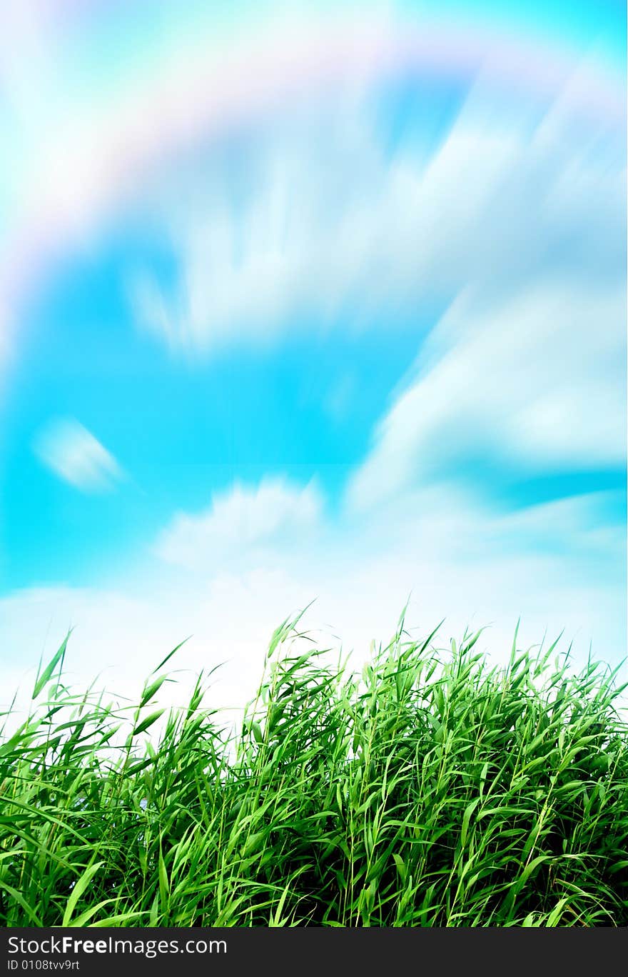 Shrubbery brightly green under beautiful blue sky and varicoloured rainbow