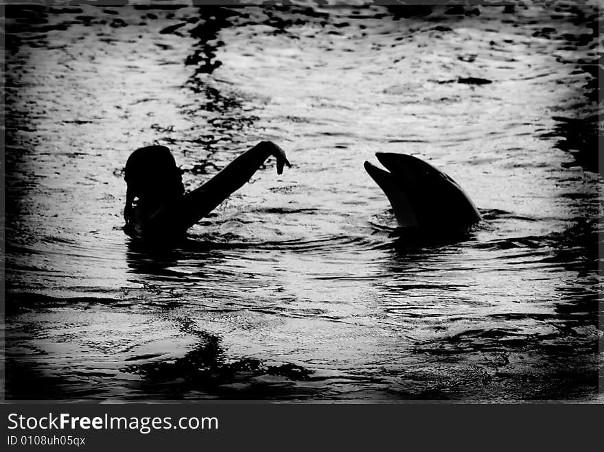 A dolphin at an aquarium